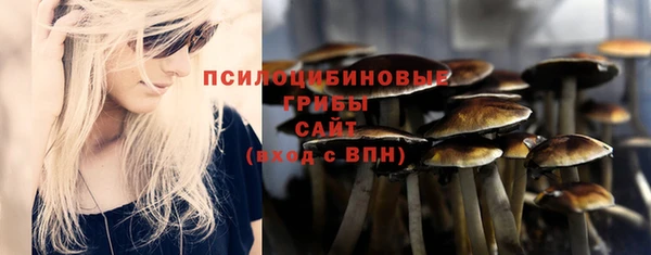 дмт Краснотурьинск