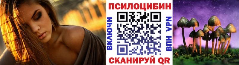 Псилоцибиновые грибы прущие грибы  где купить наркоту  Междуреченск 