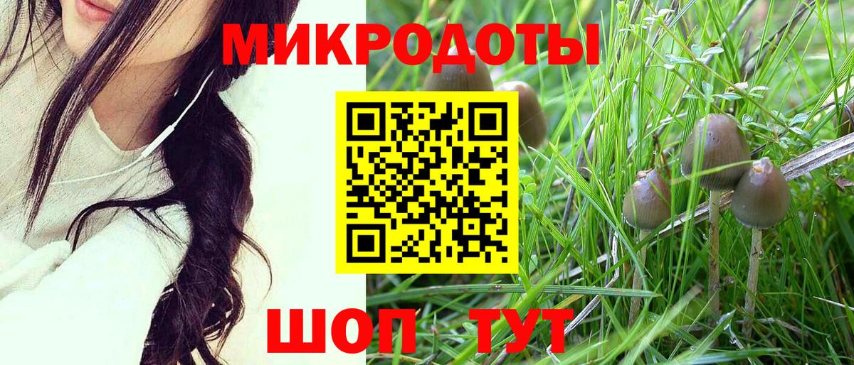 Галлюциногенные грибы Psilocybine cubensis  Вход с VPN  Галлюциногенные грибы Magic Shrooms  Междуреченск 