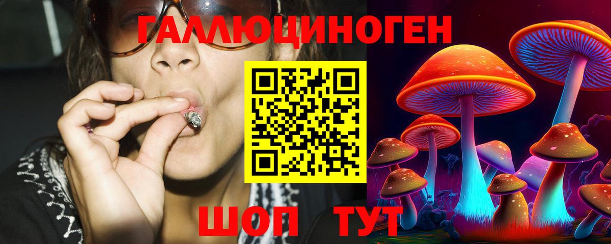 Галлюциногенные грибы ЛСД  Псилоцибиновые грибы Psilocybe  Междуреченск 